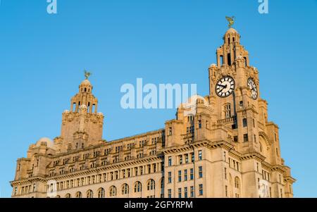 Royal Liver Building photographié un soir, baigné de lumière dorée dans un ciel bleu sur la ligne d'horizon de Liverpool en août 2021. Banque D'Images