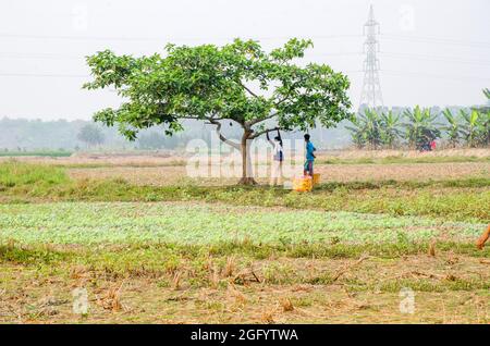 vendeur de collations dans la campagne ouest bengale inde Banque D'Images