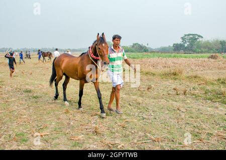 Course rurale de chevaux au sud 24 Parganas ouest bengale Banque D'Images