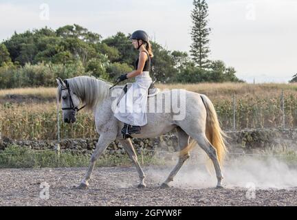 White Lusitano mare, femme cavalier de dressage, extérieur sur sable. Banque D'Images