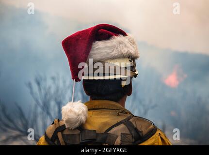 Thomas Fire, forêt nationale de Los Padres, CA. (Photo Forest Service par Stuart Palley) Banque D'Images