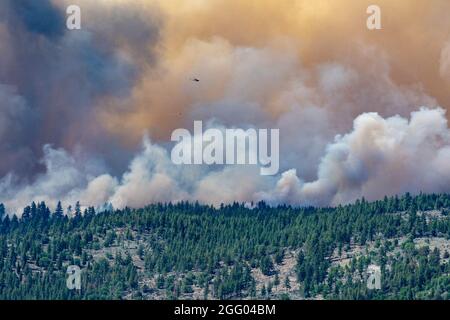 Un hélicoptère larme de l'eau sur le feu du complexe Beckwtrith le 8 juillet 2021 près du lac Frenchman, en Californie du Nord. En plus d'autres ressources, trois garde nationale de l'air C-130s-- Deux du Nevada et un de la Californie aideront à lutter contre le feu du complexe Beckwtrith en Californie du Nord, les avions équipés de la Force aérienne C-130 MAFFS, sont demandés par le Centre national de pompiers interagences et approuvés par le Secrétaire de la Défense, fournissent des capacités uniques de lutte contre l'incendie. Banque D'Images