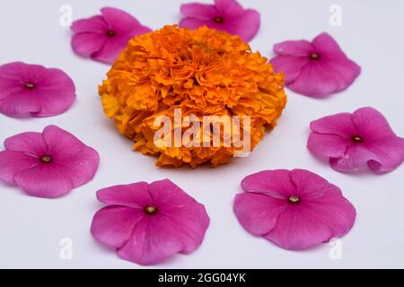 Superbes motifs de fleurs de rangoli avec fleurs marifold et pétales de fleurs de pervenche ou de vinca. Rangoli de fleurs pour décorations d'onam ou festival de Diwali d Banque D'Images