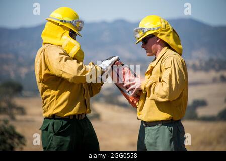 Les gardes de l'État de Californie effectuent des opérations de ligne d'incendie avec des membres de CAL FIRE au cours d'une formation d'une semaine au centre d'entraînement de l'armée de Camp Roberts, Paso Robles, Californie, le 11 août 2021. Les gardes sont activés pour soutenir le système d'entraide de l'État en cas d'incendie actif. (É.-U. Photo de la Garde nationale aérienne par SRA Duane Ramos) Banque D'Images