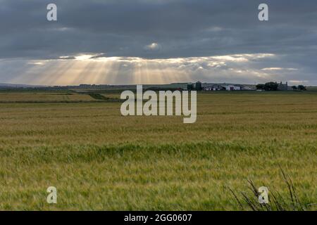 Les nuages ont vue sur les rayons du soleil qui traversent la prairie. Banque D'Images