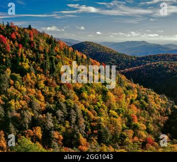 Couleur d'automne, à l'Est donnent sur la rivière Pigeon, fourche, Blue Ridge Parkway, Pisgah National Forest, North Carolina Banque D'Images