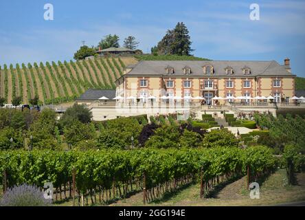 L'élégant domaine Carneros des familles Taittinger et Kopf, Napa Valley CA Banque D'Images