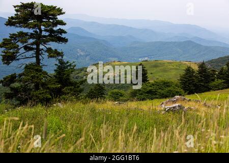 Vue depuis la montagne Whitetop dans les montagnes Appalaches en Virginie Banque D'Images