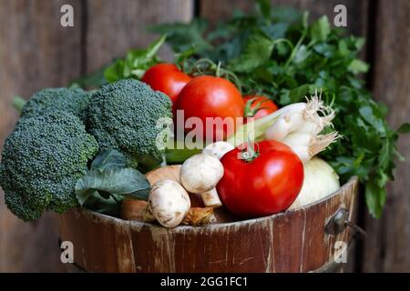 Tomates cueillies à la main, brocoli, oignons verts, persil dans un seau rustique Banque D'Images