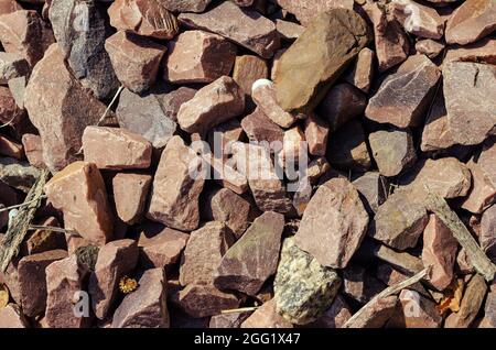 Quartzite cramoisi. Pierre à gravats ébréchés. Morceaux aléatoires de pierres rouges utilisés dans le design intérieur, extérieur, paysage. Banque D'Images