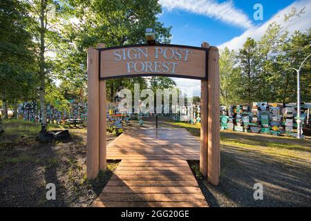 Signez Post Forest dans le canton de Watson Lake, Canada Banque D'Images