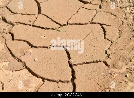 Lac sec en période de sécheresse et manque de pluie ou d'humidité. Catastrophe naturelle mondiale. Le sol fissuré de la terre en raison du changement climatique. Hydrolo Banque D'Images