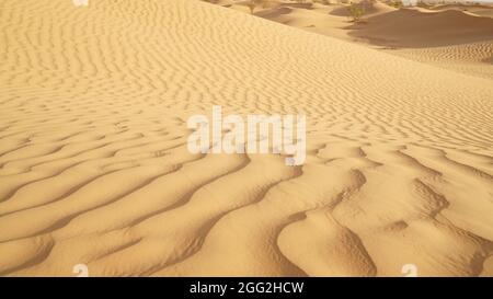 Paysage désertique avec dunes dans le désert du Sahara près de Douz, Tunisie. Banque D'Images