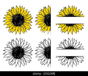 Ensemble de tournesol sauvage, cadre de fleur, illustration vectorielle isolée sur fond blanc. Illustration de Vecteur