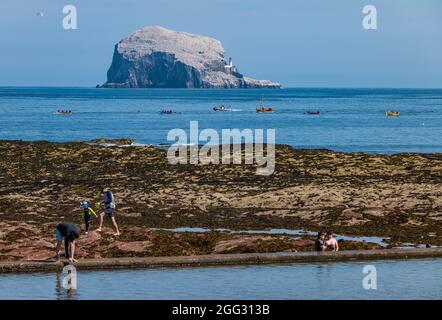 North Berwick, East Lothian, Écosse, Royaume-Uni, 28 août 2021. Météo au Royaume-Uni : week-end de vacances à la banque chaude. Photo : les équipes des clubs d'aviron côtiers de Firth of Forth concourent dans une régate avec une vue sur Bass Rock Banque D'Images