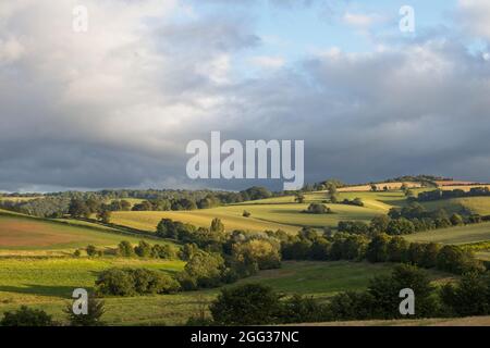 Vue sur les terres agricoles anglaises dans la lumière basse du soir avec un ciel gris fortement nuageux. Lumière du soleil sur les champs. Banque D'Images