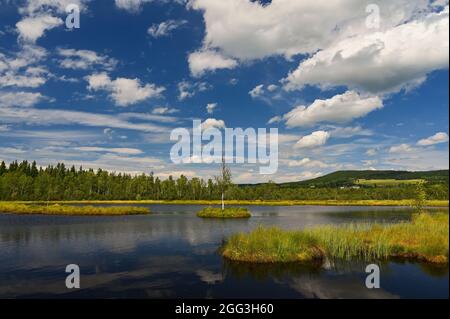 Beau paysage dans la nature avec forêt, eau et ciel bleu avec des nuages. Chalupska Moor - Parc national de Sumava (forêt de Bohème) Banque D'Images