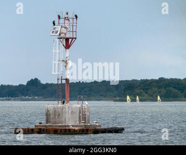 Groupe de grands cormorans, Phalacrocorax carbo, assis au sommet d'une tour ou d'un phare radio en métal rouge et blanc dans la mer Baltique près de Jastarnia, en Pologne Banque D'Images