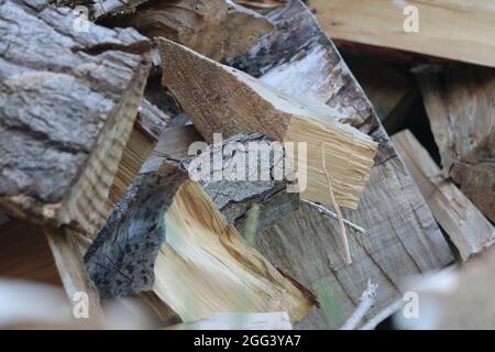 Gros plan de bois haché. Banque D'Images