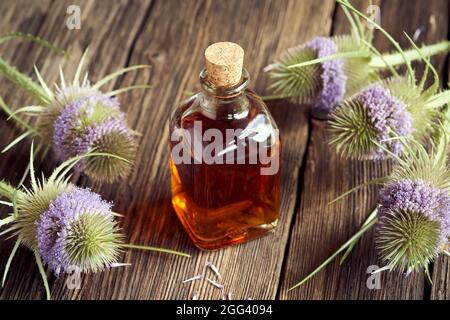 Une bouteille de tisane maison avec des fleurs sauvages Banque D'Images