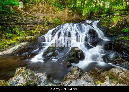 Cascade de Fairy Falls à Trefriw, parc national de Snowdonia, pays de Galles, Royaume-Uni Banque D'Images