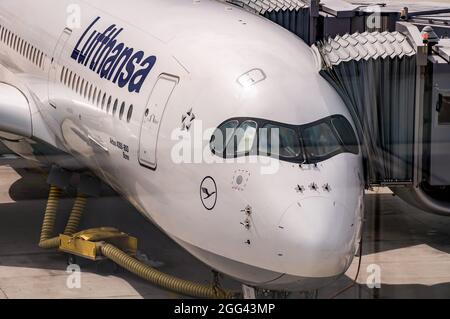 MUNICH, ALLEMAGNE - 2019 07 27: Airbus A350-900 avion de ligne de Lufthansa AG stationné à l'aéroport de Munich. Deutsche Lufthansa AG est la plus importante Banque D'Images