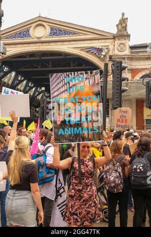 Londres, le 27 août 2021 : la rébellion de l'extinction, la marche de protestation de la rébellion animale débute au marché Smithfields dans la ville de Londres Banque D'Images