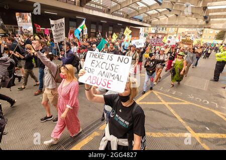 Londres, le 27 août 2021 : la rébellion de l'extinction, la marche de protestation de la rébellion animale débute au marché Smithfields dans la ville de Londres Banque D'Images