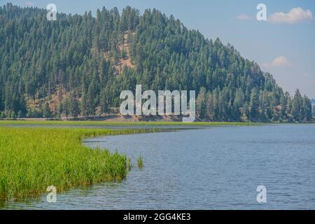 Beau lac Round près de Plummer dans le parc national Heyburn, comté de Benewah, Idaho Banque D'Images