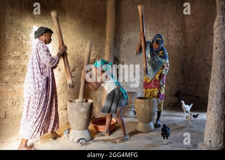 Les femmes et les filles africaines travaillent ensemble pour transformer le grain en farine en utilisant des mortiers et des pilons en bois traditionnels dans la région de Ségou, Mali, Afrique de l'Ouest. Banque D'Images