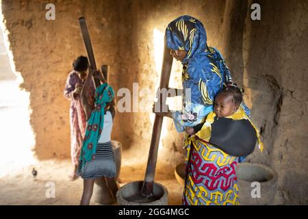 Les femmes et les filles africaines travaillent ensemble pour transformer le grain en farine en utilisant des mortiers et des pilons en bois traditionnels dans la région de Ségou, Mali, Afrique de l'Ouest. Banque D'Images