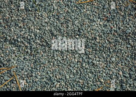 Arrière-plan, petites pierres de couleur grise sur un sol. Photo de haute qualité Banque D'Images