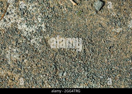 Arrière-plan, petites pierres de couleur grise sur un sol. Photo de haute qualité Banque D'Images