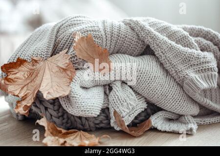 Chandails tricotés dans des tons pastel et feuilles d'automne sèches sur un fond flou. Banque D'Images