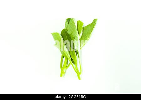 Collard bio légumes légumes légumes salade de nourriture de chou sur fond blanc. Banque D'Images