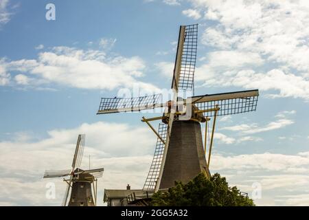 ROTTERDAM, PAYS-BAS - 25 JUILLET 2021 : moulins à vent de Ster et de Lelie à Nethelands. De Ster est originaire de 1829 et de Lelie est de 1777 et St Banque D'Images