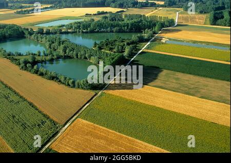 FRANCE. GRAND-EST. MARNE (51) LA VALLÉE DE LA MARNE. CHAMPS DE CULTURE ET ÉTANGS (VUE AÉRIENNE) Banque D'Images