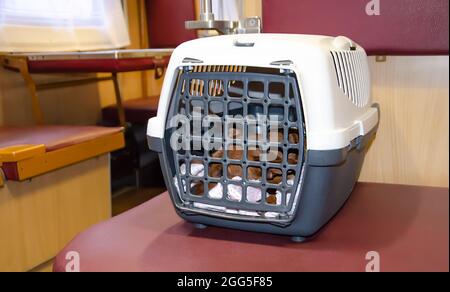 Un chien dans une boîte pour transporter des animaux. Un animal de compagnie dans une cage de transport sur le train. Règles de transport des animaux. Banque D'Images