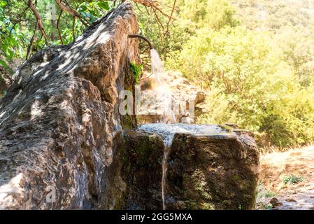 Source naturelle sur le sentier de la rivière Borosa, Sierra de Cazorla. Banque D'Images