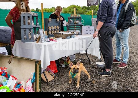 Pencaitland, East Lothian, Écosse, Royaume-Uni. 29 août 2021. Dressage de chiens : le parc d'aventure de chiens Unleashed organise un événement caritatif de dressage de chiens organisé par des comportementalistes canins qualifiés afin de collecter des fonds pour la maison de chiens et chats d'Édimbourg. Photo : un stand de boulangerie canine Banque D'Images