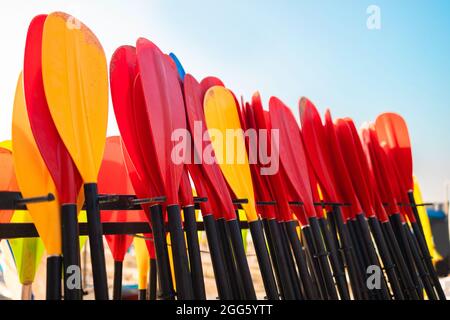 De nombreuses pagaies colorées à louer par les touristes sur la plage pendant la saison estivale. Location d'équipement pour nager dans l'océan ou le lac en été Banque D'Images