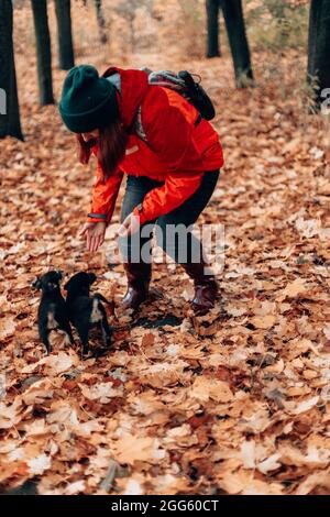 Randonnée avec le chien, UNE jeune fille en uniforme de sport marche avec deux chiots dans les montagnes dans la forêt d'automne. Femme avec parapluie transparent Banque D'Images