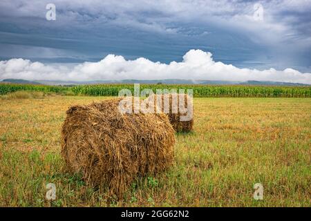 Le foin roule dans un paysage rural avec des nuages contrastés en arrière-plan Banque D'Images