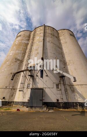 Silos à grains à Dusty, État de Washington, États-Unis Banque D'Images