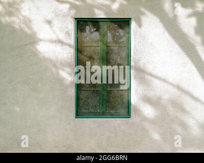 Cadre de fenêtre vert vertical dans un mur de stuc blanc cassé avec silhouettes d'arbre et de branche. Banque D'Images