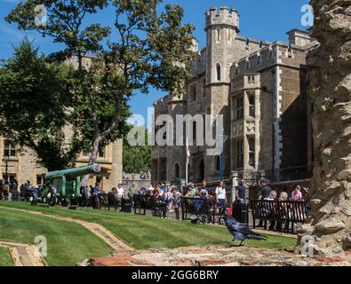 La Tour de Londres est en corbeau sur un mur avec des touristes et des bâtiments. Selon la légende, si les corbeaux quittent la Tour, la couronne et la Grande-Bretagne tomberont. Banque D'Images