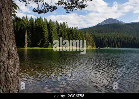 Paysage de montagne, parc national de Durmitor, Monténégro. Belle vue sur les bancs du lac près du lac dans une belle forêt Banque D'Images