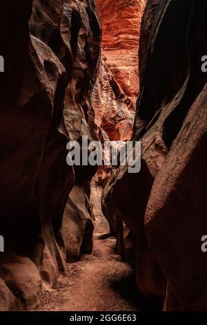 Deep Orange Wall s'élève au bout D'UNE étroite Corridoor de Buckskin Gulch dans l'Utah Banque D'Images