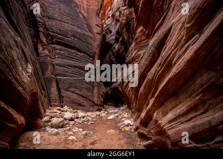 Érosion mur cramoisi au fond de Buckskin Gulch dans l'Utah Banque D'Images