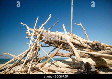 Sous-structures typiques en bois à l'abri du soleil sur la plage de Viareggio en été Banque D'Images